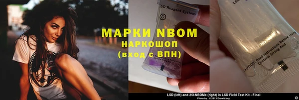 ECSTASY Инсар