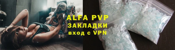 сатива Зеленокумск