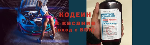 индика Иннополис