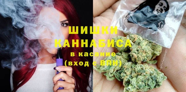 ГАЛЛЮЦИНОГЕННЫЕ ГРИБЫ Каменка