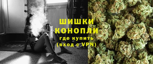 ГАЛЛЮЦИНОГЕННЫЕ ГРИБЫ Каменка